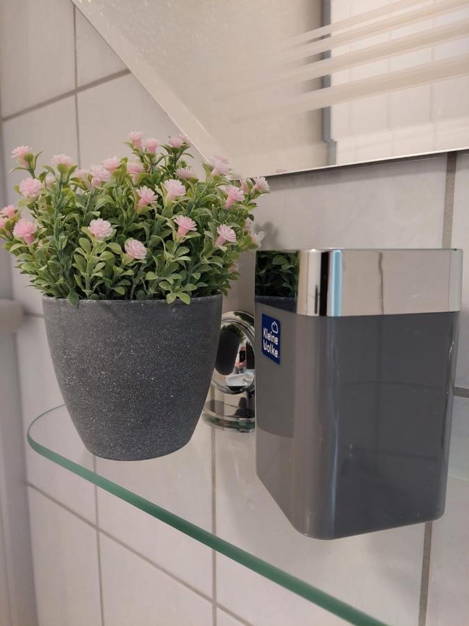 Helles Modern Eingerichtetes