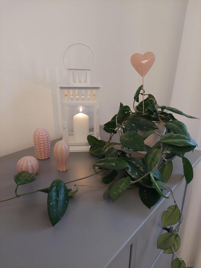 Helles Modern Eingerichtetes Appartement